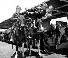 Beverly Park-Ponyland 1947 #3